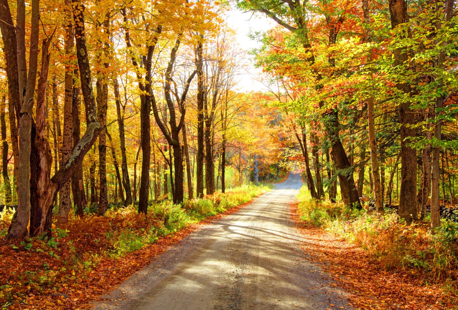 Pre-Planning-Journey Cremations