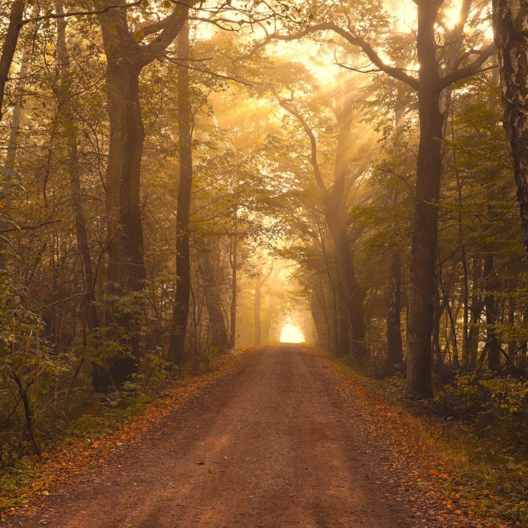 Obituaries 2021 | Journey Cremations